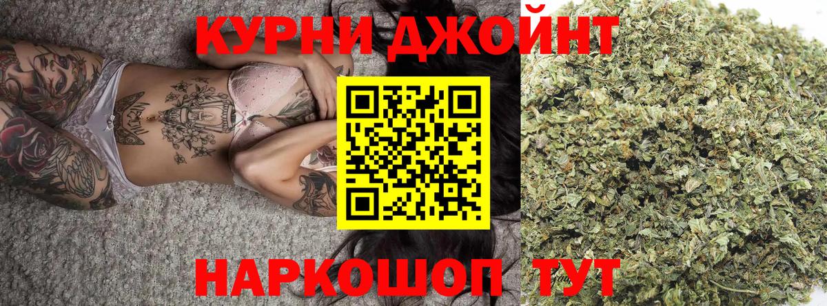 Конопля сатива Конаково